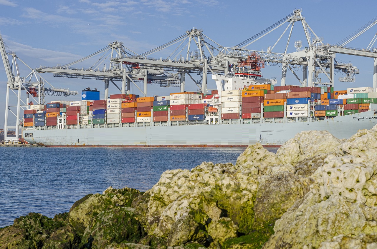 Un cargo de container maritime